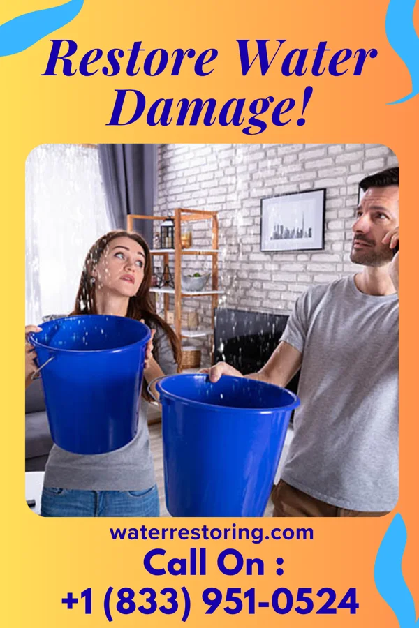 water restoration Heritage Sewage Cleanup Co Raleigh