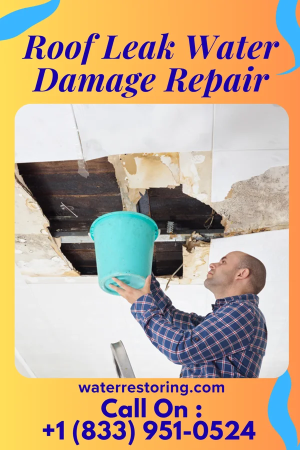 Roof Leak Water Damage Repair in Raleigh, NC