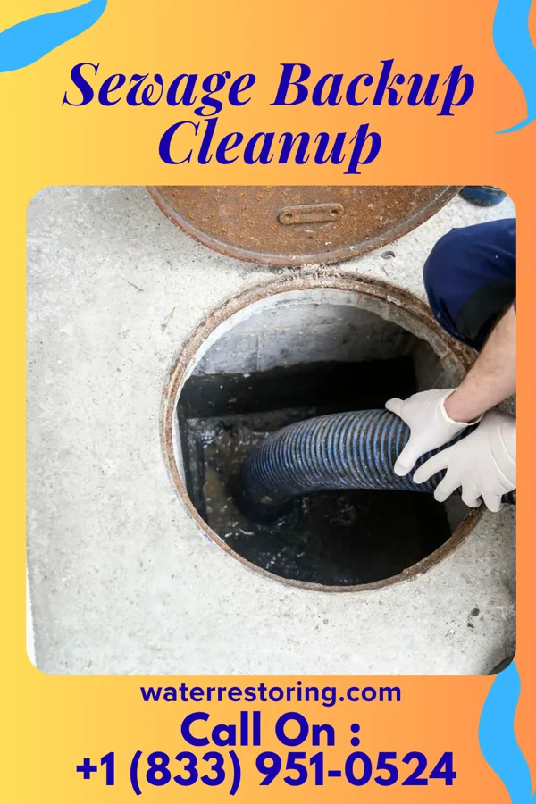 Sewage Backup Cleanup in Raleigh, NC